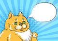 Cute fat cat pointing on empty speech bubble, pop art comic style illustration. Hungry funny cat eps10 Royalty Free Stock Photo