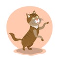 Cute fat dancing cat standing on its hind paws Royalty Free Stock Photo