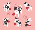 Cute fat dogs Puppy Animal set vector .