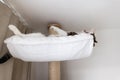 Happy cat laying in hammock on scratching post under the ceiling Royalty Free Stock Photo