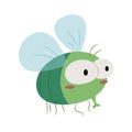 Cute Fat Fly