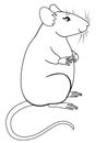 A cute fat gray rat is sitting. The symbol 2020 is a rat. Decorative rat - lovely pet - linear vector