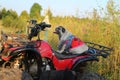 A cute fat pug sits on an ATV in an outdoor flower garden, selectable focus.