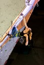 Cute female Athlete hanging on climbing Wall