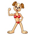 Cute female dog in a fitness bikini