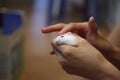 Cute Female Exotic Winter White Dwarf Hamster lying comfortably in owner both hands. Winter White Hamster is known as Winter White