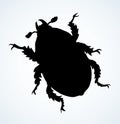 Chafer. Vector drawing of a big beetle