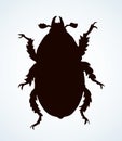 Chafer. Vector drawing of a big beetle