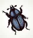 Chafer. Vector drawing of a big beetle