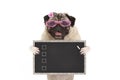 Cute female pug dog puppy holding up blank checklist on blackboard with check boxes drawn with chalk Royalty Free Stock Photo