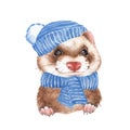 Cute ferret in blue hat 2