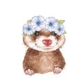 Cute ferret. Watercolor illustration 2 Royalty Free Stock Photo