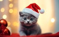 Cute festive cat with blurred Christmas tree on background. Royalty Free Stock Photo