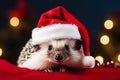 Cute festive Christmas hedgehog wearing a Santa hat