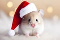 Cute festive Christmas mouse wearing a Santa hat