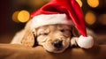 Cute festive puppy asleep on the arm of a chair wearing a Christmas hat against an out of focus background Christmas Generative AI
