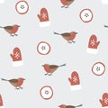 Cute festive winter seamless pattern with hand drawn finch birds, sliced apples and gloves. Christmas design. Vector