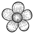 Cute field flower icon, hand drawn style