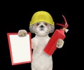 Cute firefighter dog is ready to work Royalty Free Stock Photo