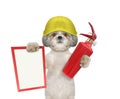 Cute firefighter dog is ready to work Royalty Free Stock Photo