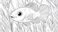 Fish Coloring Page, Cartoon Fish, Undersea World Royalty Free Stock Photo