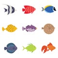 Cute fish illustration icons set. Tropical fish, sea fish, aquarium fish set isolated on white background. Royalty Free Stock Photo