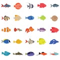 Cute fish vector illustration icons set. Tropical fish, sea fish, aquarium fish Royalty Free Stock Photo