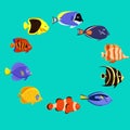 Cute fish vector illustration icons set. Tropical fish, sea fish, Royalty Free Stock Photo