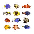 Cute fish vector illustration icons set. Tropical fish, sea fish, Royalty Free Stock Photo