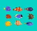 Cute fish vector illustration icons set. Tropical fish, sea fish, aquarium fish. Royalty Free Stock Photo