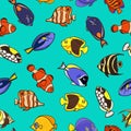 Cute fish vector illustration icons set. Tropical fish, sea fish, aquarium fish