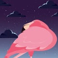 Cute flamingo bird night backrgound