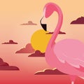 Cute flamingo bird sunset backrgound Royalty Free Stock Photo