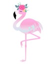 Cute Flamingo With Flowers. Beautiful Vector Illustration For Birthday Cards, Party Invitations, Poster And Postcard.