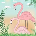 Cute Flamingo in nature animal cartoon bird card illustration Royalty Free Stock Photo