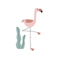 Cute flamingo, pink bird in Scandinavian style. Exotic tropical feathered fauna. Funny African animal with beak