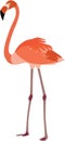 Cute flamingo vector