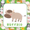 The cute buffalo farm animal flashcard for kids. Learning the farm animals name.