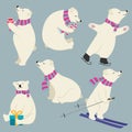 Cute flat design polare bears collection Royalty Free Stock Photo