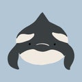 Cute flat killer whale drawing. Adorable little cartoon orca vector illustration. Childish rare animal wild ocean concept with Royalty Free Stock Photo