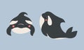 Cute flat killer whale drawing. Adorable little cartoon orca vector illustration. Childish rare animal wild ocean concept with Royalty Free Stock Photo