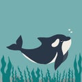 Cute flat killer whale drawing. Adorable little cartoon orca vector illustration. Childish rare animal wild ocean concept with Royalty Free Stock Photo