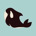 Cute flat killer whale drawing. Adorable little cartoon orca vector illustration. Childish rare animal wild ocean concept with Royalty Free Stock Photo