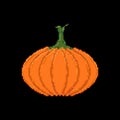 Cute flat pixel art colorful pumpkin vector icon isolated; pumpkin illustration for Halloween and Thanksgiving seasonal greetings