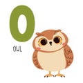Cute flat vector illustration. Cute owl and letter O. Animals and letters of alphabet Royalty Free Stock Photo