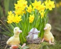 Cute floral decoration with Easter egg Royalty Free Stock Photo