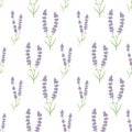 Cute floral lavenders seamless repeat pattern background vector