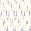 Cute floral lavenders seamless repeat pattern background vector