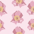 Cute floral pattern with pink peony flower. Seamless vector texture. Elegant template for fashion prints. Royalty Free Stock Photo