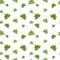Cute Floral pattern in the small leaf